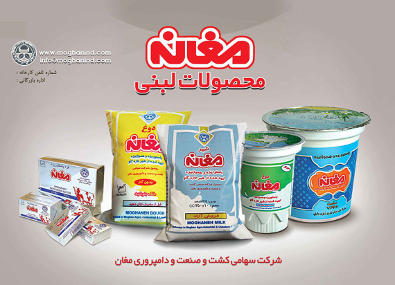 کیفیت استثنایی محصولات مغانه: از شیر پاکتی تا روغن زیتون و شیر خشک قنادی (تجربه یک خرید متفاوت)
